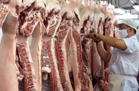 Giá lợn hơi trong nước xuống thấp, Phó thủ tướng yêu cầu nghiên cứu đề xuất nới lỏng rào cản xuất khẩu