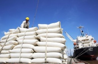 Sửa Nghị định Kinh doanh xuất khẩu gạo
