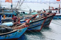 Nhật Bản kiểm soát IUU với thủy sản Việt Nam