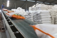 Phát triển sản phẩm xuất khẩu chiến lược sang thị trường có FTA