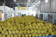 Việt Nam có  hơn 2.400 mã sản phẩm được cấp phép xuất khẩu sang Trung Quốc