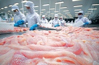 Việt Nam có 160 doanh nghiệp xuất khẩu cá tra sang Trung Quốc