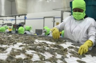Thương mại Việt Nam- Hàn Quốc tăng thêm gần 9 tỷ USD