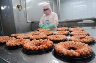 Năm 2022, xuất khẩu tôm sang Trung Quốc tăng mạnh, xuất sang Mỹ giảm
