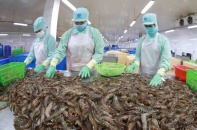 Xuất khẩu thủy sản giảm 31% trong tháng 1/2023, kỳ vọng phục hồi từ quý 2