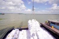 Xuất khẩu khoảng 7 triệu tấn gạo trong năm 2023