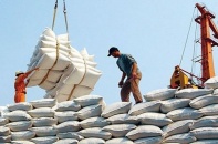 Giá gạo xuất khẩu 2 tháng đầu năm tăng gần 10%