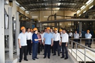Trình phương án xử lý dứt điểm Dự án Nhà máy Bột giấy Phương Nam trước 15/4