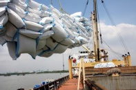 Doanh nghiệp xây dựng phương án xuất khẩu gạo phù hợp 