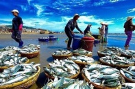 Xuất khẩu nông, lâm, thủy sản quý II/2023 muốn chinh phục mốc 14 tỷ USD