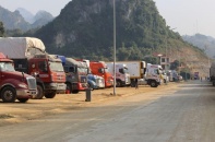 Xe chở sầu riêng xuất khẩu đổ về cửa khẩu Hữu Nghị, Lạng Sơn