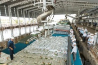 Thuế xuất khẩu phân bón NPK về 0% từ 15/7/2023