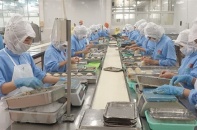 Kiến nghị giảm lãi vay, duy trì chuỗi cung ứng và việc làm ngành thủy sản