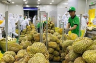 Trung Quốc tăng mua gạo, rau quả, hạt điều từ Việt Nam