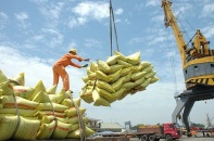 Việt Nam là nhà cung cấp gạo hàng đầu tại Philippines