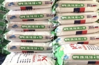 Giá phân bón nhập khẩu hạ nhiệt