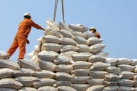 Indonesia nhập 1,5 triệu tấn gạo, Việt Nam có thêm cơ hội xuất khẩu