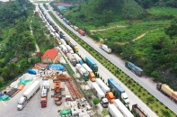 Thủ tướng yêu cầu hoàn thiện hạ tầng logistics, thông đường cho nông sản xuất khẩu