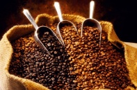 Giá tăng mạnh, xuất khẩu cà phê 2 tháng cán mốc 1,38 tỷ USD