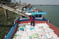 Gạo Việt sang Philippines chưa bị ảnh hưởng khi nước này sửa đổi luật