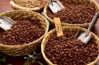 Giá cà phê xuất khẩu tăng kỷ lục, 5 tháng mang về 2,9 tỷ USD