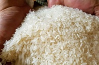 Philippines dự kiến nhập 4,5 triệu tấn gạo, Việt Nam thêm đơn hàng