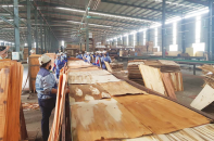 Siết quản lý xuất khẩu gỗ dán sang Hoa Kỳ