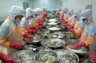 Kết nối giao thương, thúc đẩy xuất khẩu sang châu Mỹ