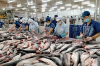 Xuất nhập khẩu với thị trường CPTPP đạt 76,3 tỷ USD