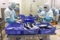 Hiệp định VIFTA, thúc đẩy hợp tác kinh tế, thương mại Việt Nam - Israel