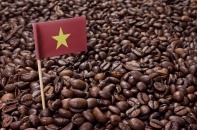 Xuất khẩu cà phê lập kỷ lục 5,48 tỷ USD, dự báo năm 2025 vẫn tích cực