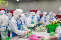 Việt Nam nằm trong top 15 quốc gia cung cấp rau quả lớn vào Mỹ