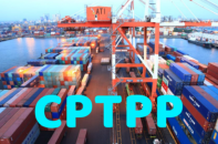 Xuất nhập khẩu với khu vực thị trường CPTPP vượt 102 tỷ USD