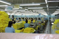 Việt Nam xuất khẩu gần 25 tỷ USD hàng hóa sang Nhật Bản trong năm 2024