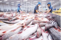Bảo vệ hàng Việt xuất khẩu trước "làn sóng" phòng vệ thương mại