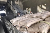 Xuất khẩu xi măng, clinker tháng 1/2025 giảm sâu