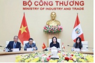 Việt Nam - Peru bàn chuyện tăng tốc thương mại với "đòn bẩy" CPTPP
