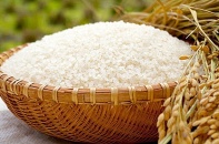 Cả nước có 152 thương nhân đủ điều kiện kinh doanh xuất khẩu gạo