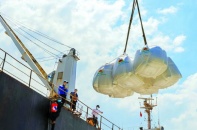 Xuất khẩu gạo thu về 1,78 tỷ USD sau 4 tháng đầu năm 2025 