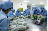 Doanh nghiệp Việt xúc tiến thương mại tại Hàn Quốc