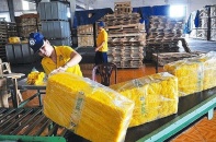 Chưa đầy 5 tháng, cao su xuất khẩu thu gần 1 tỷ USD 