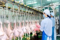 Singapore nghiên cứu mở cửa thị trường cho nhiều nông sản Việt