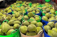 Nửa đầu năm, thu hơn 3 tỷ USD từ xuất khẩu rau quả