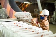 Vicem đặt nhiều kỳ vọng tiêu thụ xi măng  trong quý III/2025