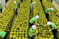 Lưu ý doanh nghiệp giữ đà xuất khẩu sang thị trường trọng điểm
