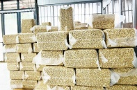 Mục tiêu xuất khẩu 4,5 tỷ USD của ngành điều khả thi