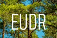 Ủy ban châu Âu lại đề xuất chưa áp dụng Quy định về chống phá rừng Ủy ban châu Âu lại đề xuất chưa áp dụng Quy định về chống phá rừng