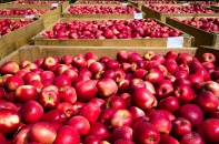 Nhập khẩu hàng hóa từ Mỹ tăng mạnh