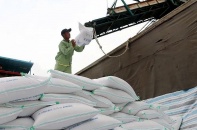 Hạn ngạch nhập khẩu gạo dự kiến từ Campuchia mỗi năm là 300.000 tấn