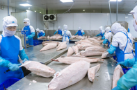 Thương mại Việt Nam - Israel tăng 19% sau 1 năm thực thi VIFTA